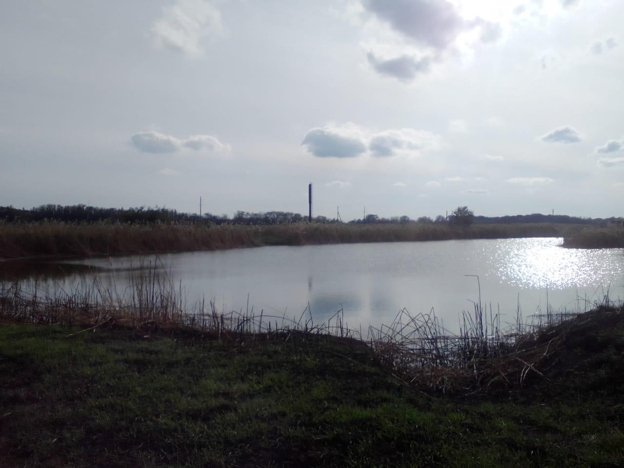 Фото №5: Коммерция 600 м² - Днепровская, ул. Ленина, 61