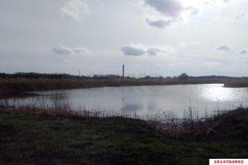 Фото №5: Коммерция 600 м² - Днепровская, ул. Ленина, 61