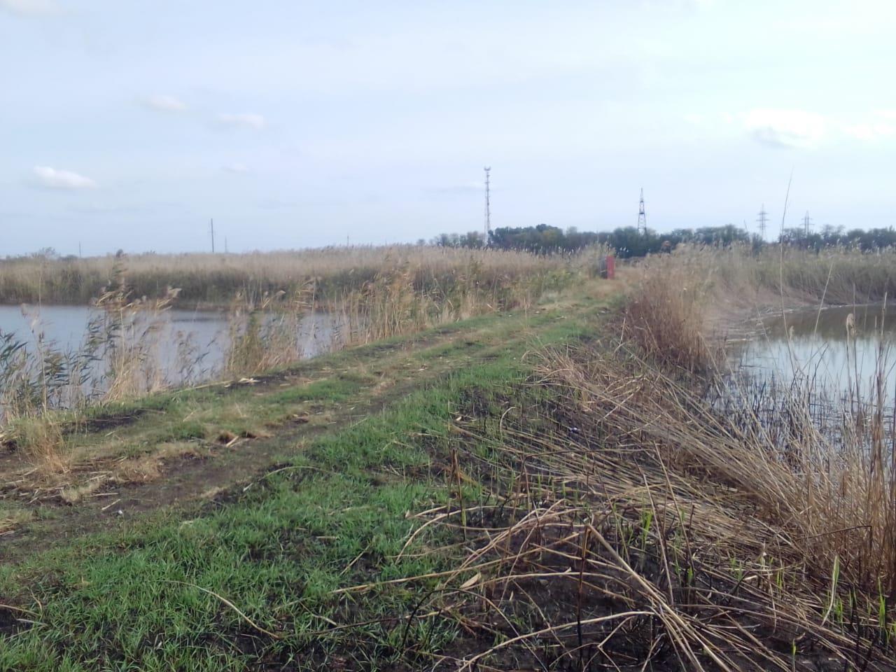 Фото №4: Коммерция 600 м² - Днепровская, ул. Ленина, 61