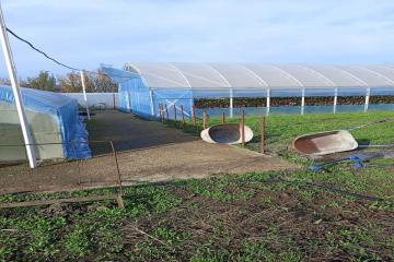 Фото №2: Земельный участок 11.5 сот. - Старокорсунская, мкр. Карасунский внутригородской округ, 