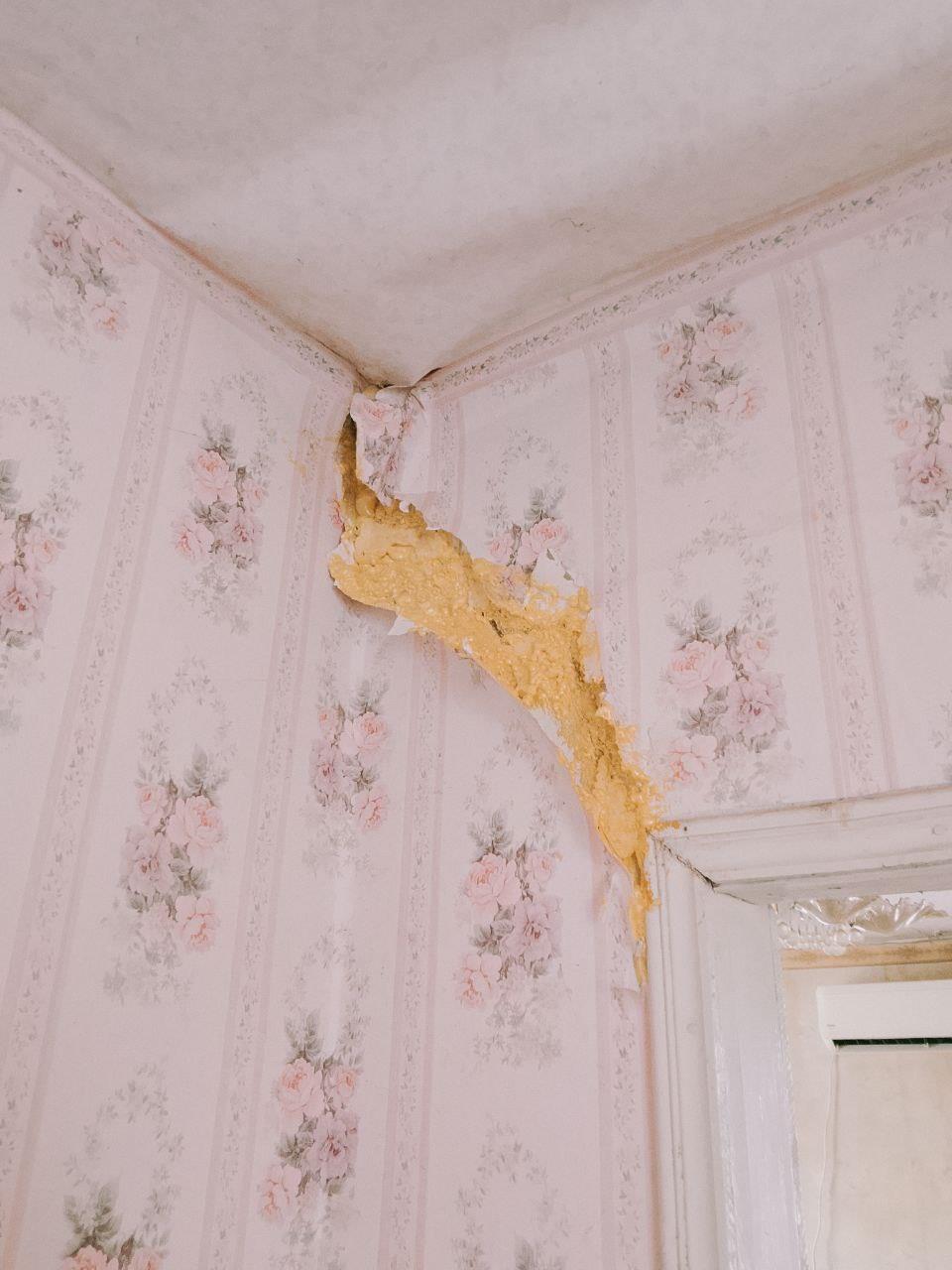 Фото №14: Дом 56 м² + 6 сот. - Краснодар, Прикубанский внутригородской округ, мкр. Северный, ул. Народная, 33