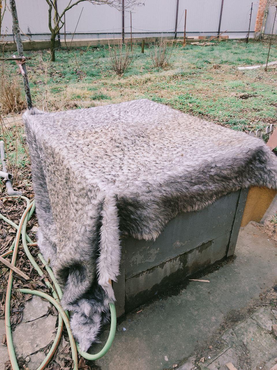 Фото №11: Дом 56 м² + 6 сот. - Краснодар, Прикубанский внутригородской округ, мкр. Северный, ул. Народная, 33