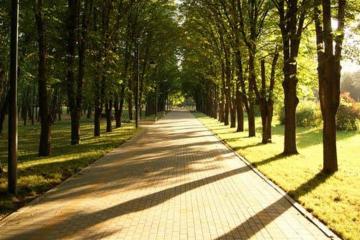 Фото №5: Дом 19 м² - Краснодар, мкр. СНТ № 1, ул. Сливовая, 186