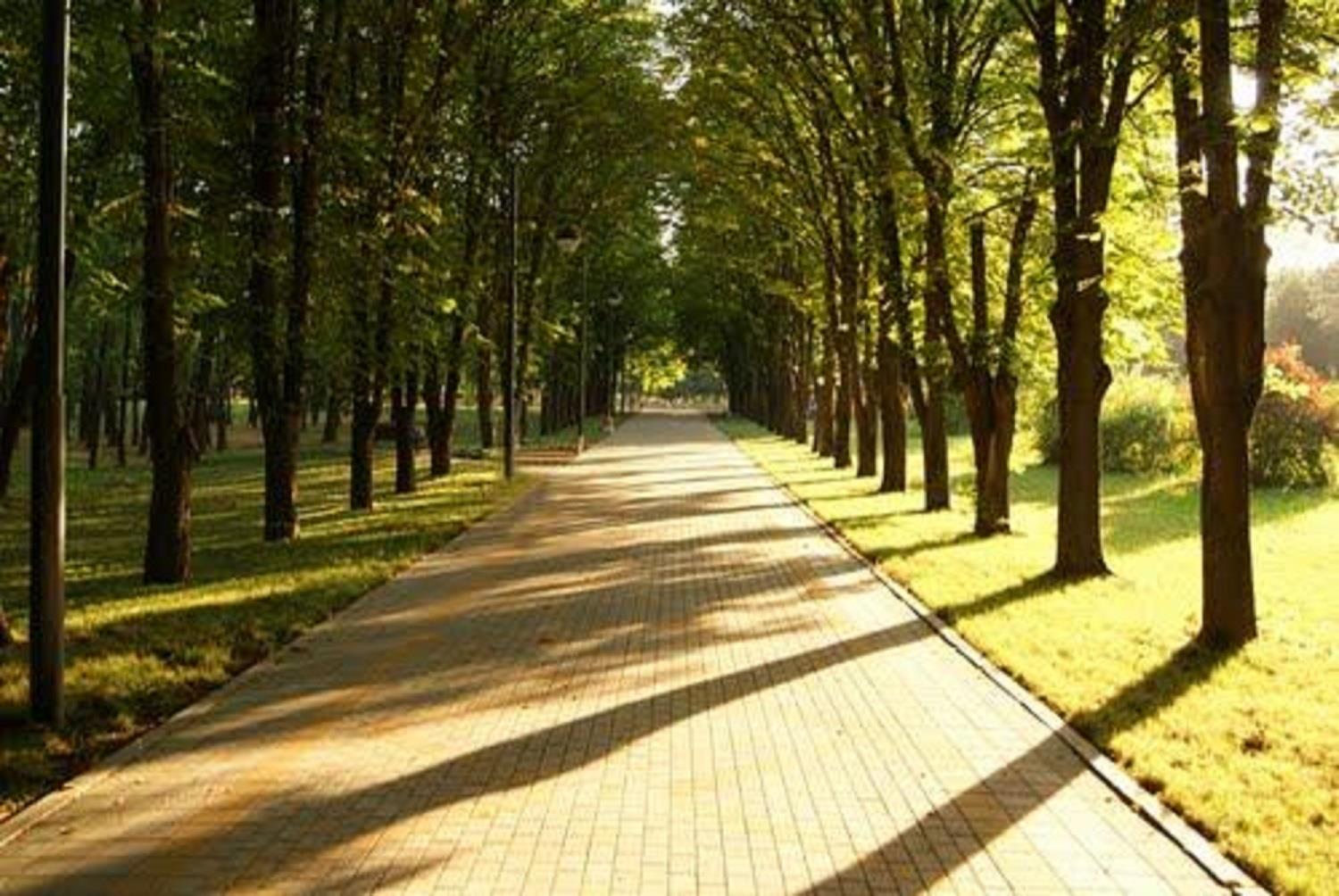 Фото №5: Дом 19 м² + 6 сот. - Краснодар, Прикубанский внутригородской округ, Микрохирургии глаза, мкр. СНТ № 1, ул. Сливовая, 186