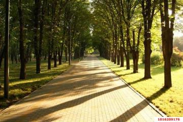 Фото №5: Дом 19 м² - Краснодар, мкр. СНТ № 1, ул. Сливовая, 186