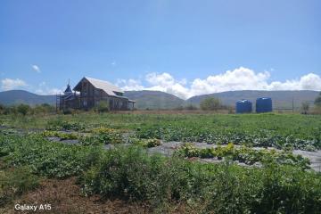 Фото №4: Дом 65 м² - Севастополь, мкр. Гагаринский муниципальный округ, ул. Октябрьская, 2