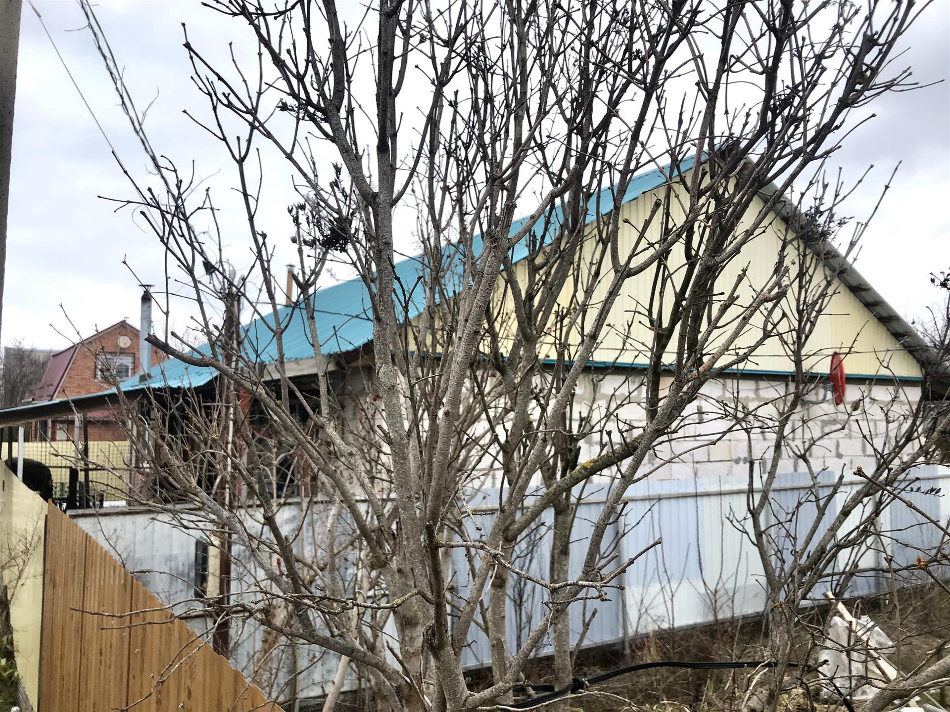 Фото №10: Дом 96 м² + 4 сот. - Авиатор, мкр. Прикубанский внутригородской округ, ул. Дачная, 64