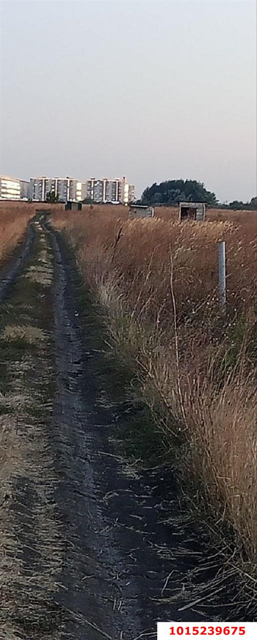 Фото №7: Коммерция 5 м² - Краснодар, мкр. Прикубанский внутригородской округ, ул. Дубайская