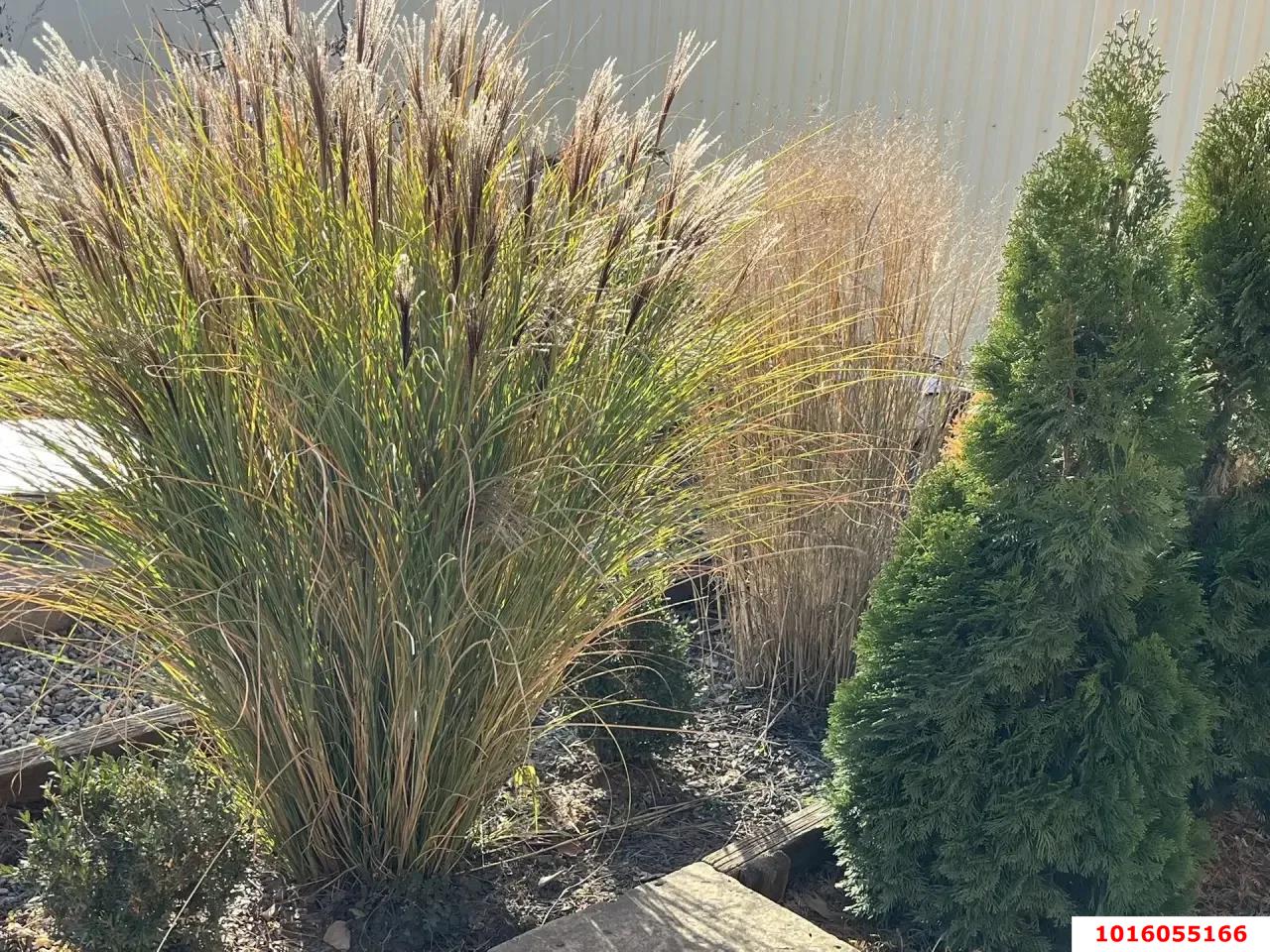 Фото №14: Дом 136 м² + 5 сот. - Краснодар, Прикубанский внутригородской округ, Калинино, мкр. Завод Радиоизмерительных Приборов, ул. имени Атамана Антона Головатого, 27