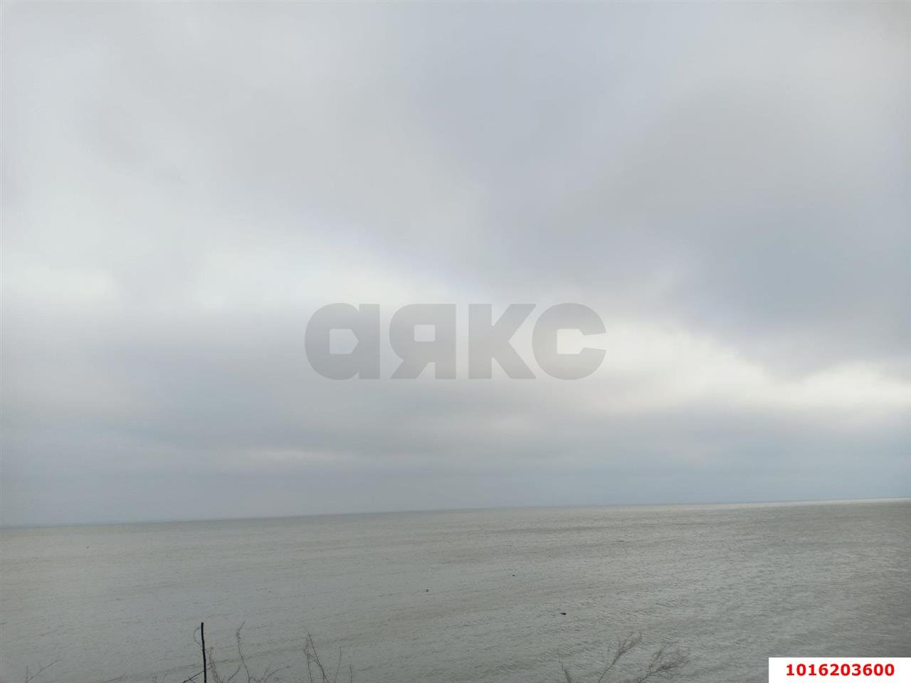 Фото №10: Личное подсобное хозяйство - Ленина, Карасунский внутригородской округ, мкр. НСТ №1 Югтекс, ул. Липовая, 180