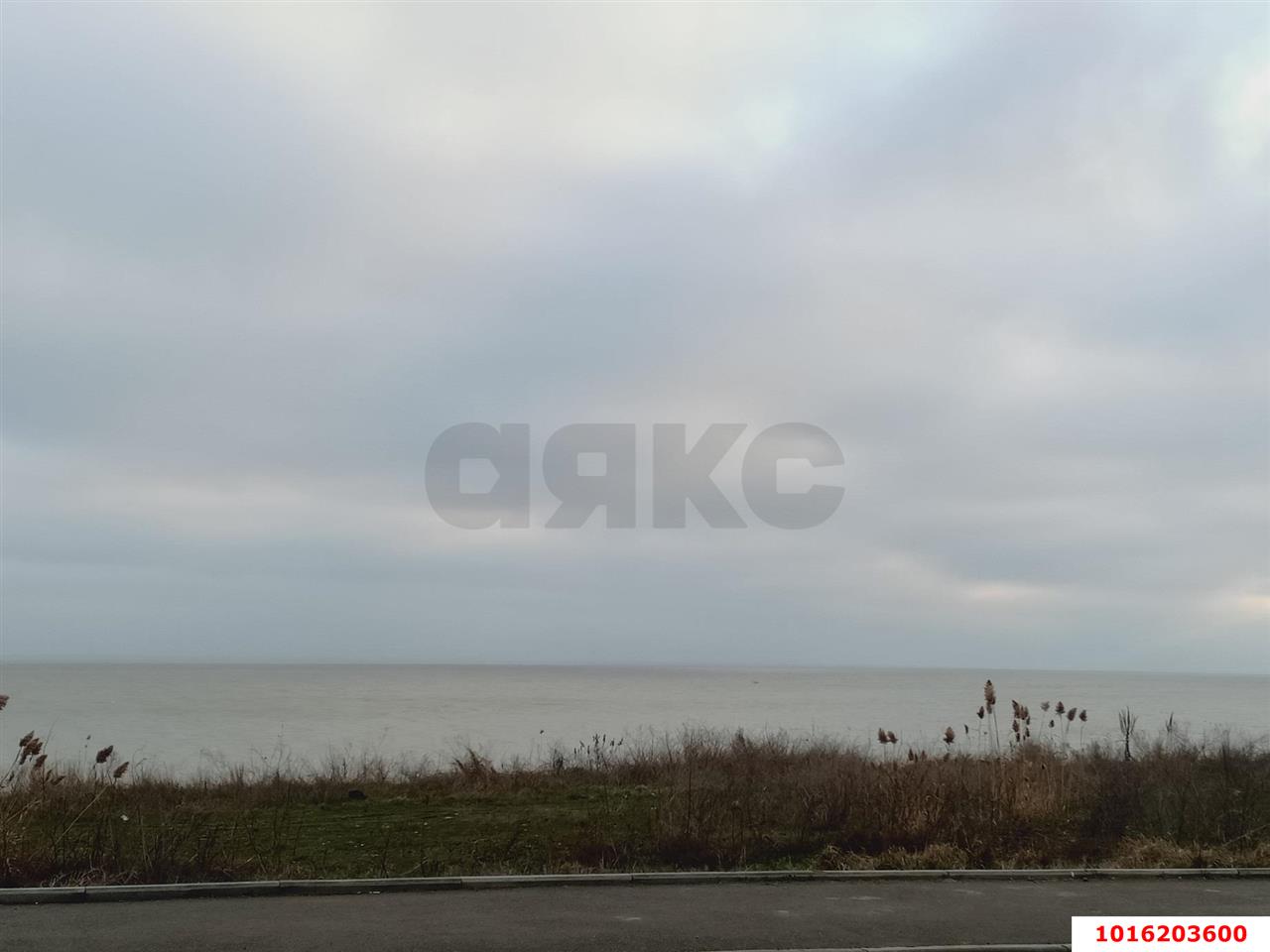 Фото №8: Личное подсобное хозяйство - Ленина, Карасунский внутригородской округ, мкр. НСТ №1 Югтекс, ул. Липовая, 180