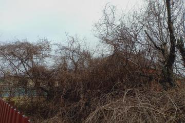 Фото №4: Личное подсобное хозяйство - Ленина, мкр. НСТ №1 Югтекс, ул. Липовая, 180