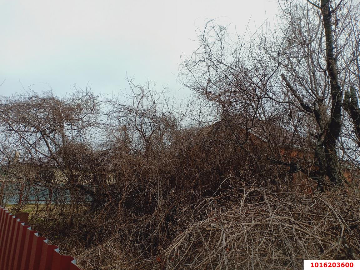 Фото №4: Личное подсобное хозяйство - Ленина, Карасунский внутригородской округ, мкр. НСТ №1 Югтекс, ул. Липовая, 180