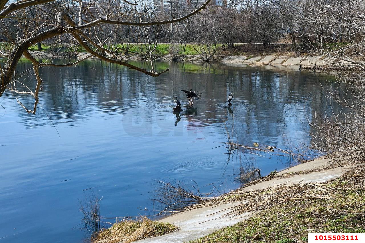Фото №6: 1-комнатная квартира 34 м² - Краснодар, Карасунский внутригородской округ, мкр. Черёмушки, ул. Селезнёва, 210