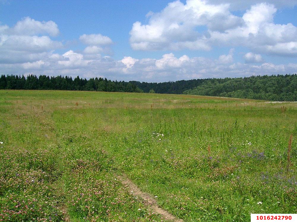 Фото №2: Земельный участок 8 сот. - Лазурный, мкр. Прикубанский внутригородской округ, пр-д 2-й  Льва Кассиля, 3