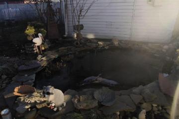 Фото №4: Дом 57 м² - Елизаветинская, ст Криница, ул. Виноградная, 313