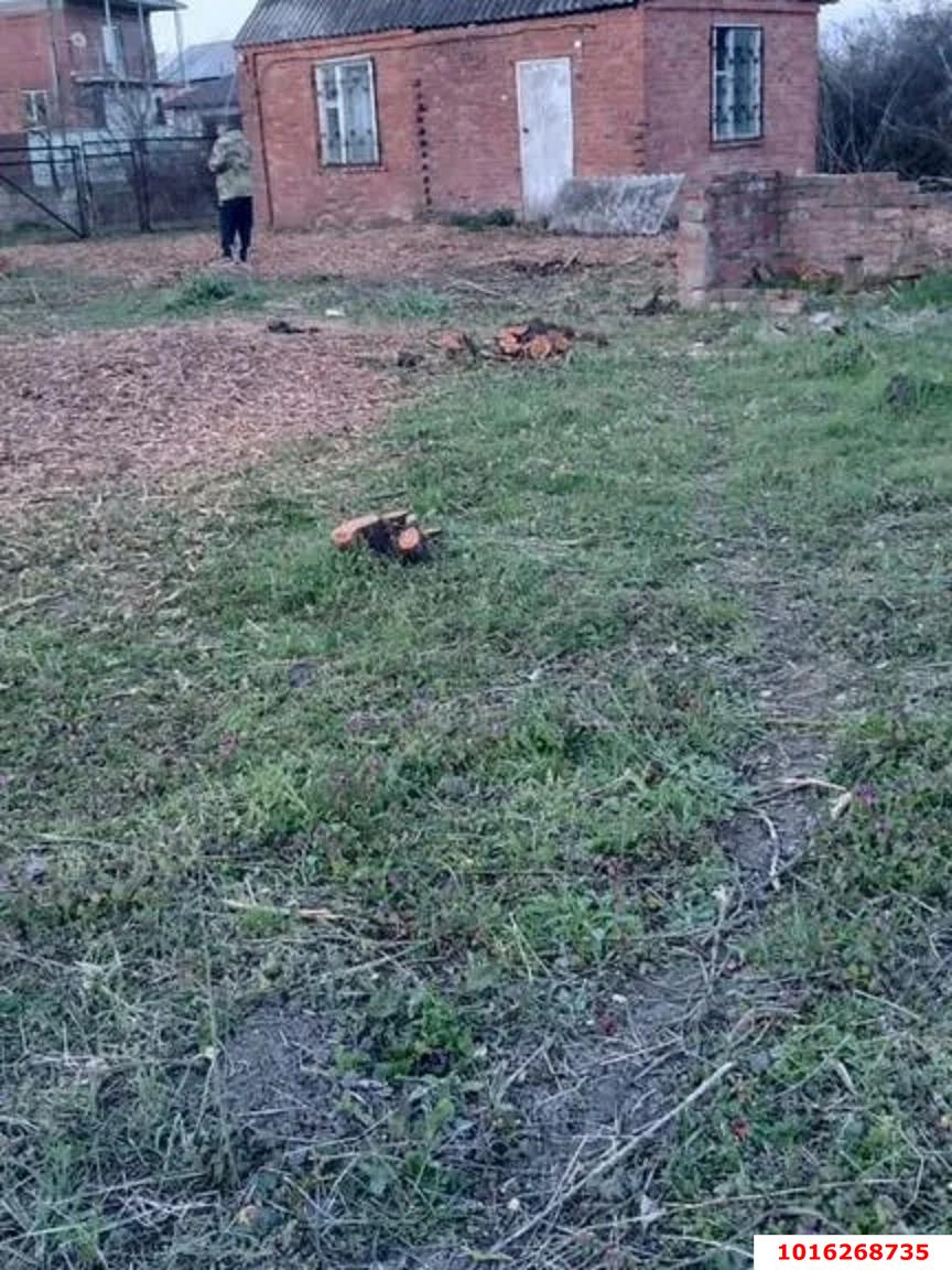 Фото №3: Коммерция 6 м² - Новый, ст Дружба, ул. Виноградная