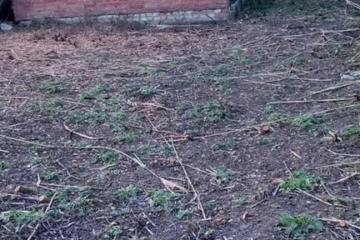 Фото №2: Коммерция 6 м² - Новый, ст Дружба, ул. Виноградная