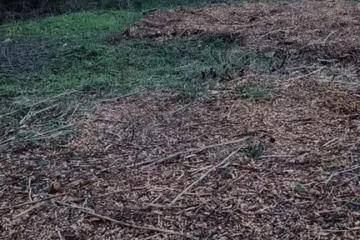 Фото №1: Коммерция 6 м² - Новый, ст Дружба, ул. Виноградная