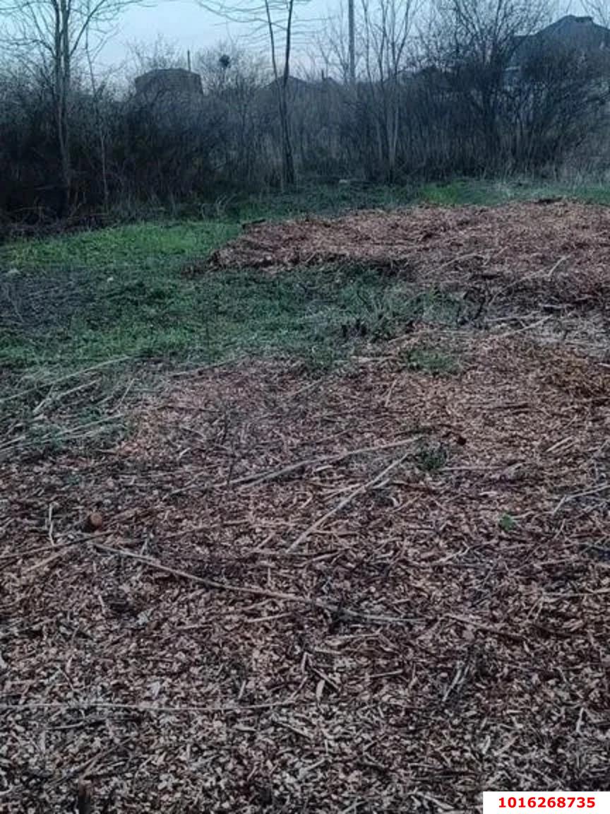 Фото №1: Коммерция 6 м² - Новый, ст Дружба, ул. Виноградная