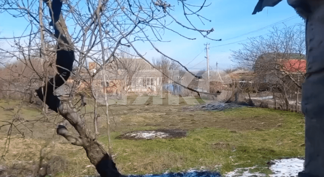 Фото №4: Личное подсобное хозяйство 504 сот. - Платнировская, ул. Красноармейская