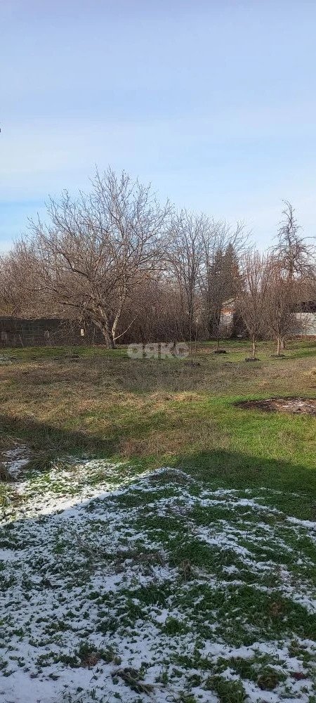 Фото №1: Личное подсобное хозяйство 504 сот. - Платнировская, ул. Красноармейская