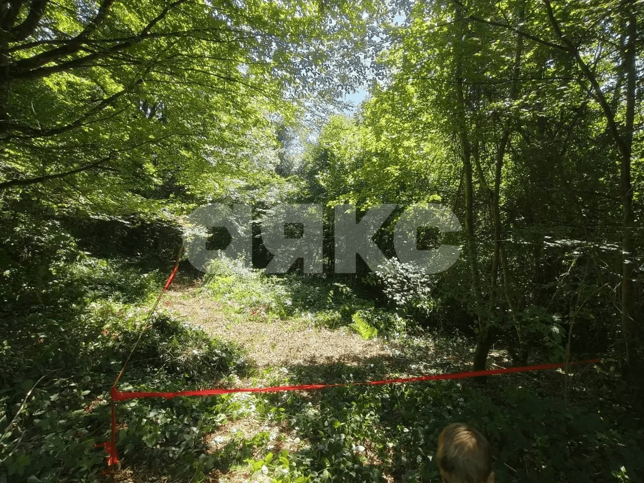 Фото №2: Участок садоводство 497 сот. - Пластунка, Хостинский, счт Ампер, 438