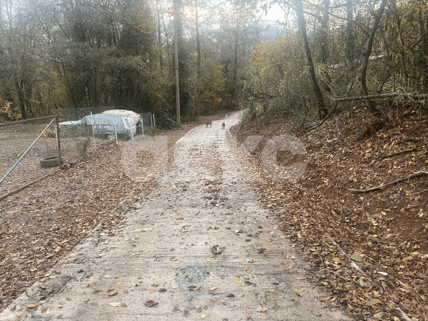 Фото №1: Участок садоводство 497 сот. - Пластунка, Хостинский, счт Ампер, 438