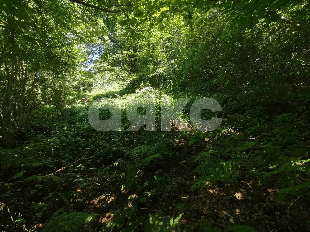 Фото №3: Участок садоводство 497 сот. - Пластунка, Хостинский, счт Ампер, 438