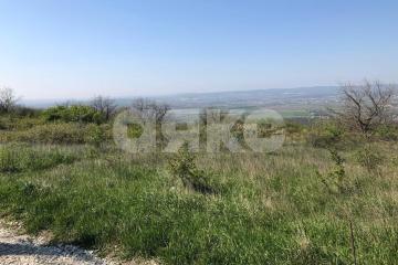 Фото №5: Участок садоводство - Верхнебаканский, мкр. СОТ Моряк, ул. имени Николая Забарина, 52