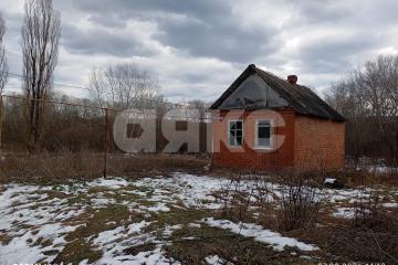 Фото №3: Личное подсобное хозяйство - Кутаисская, ул. Приречная