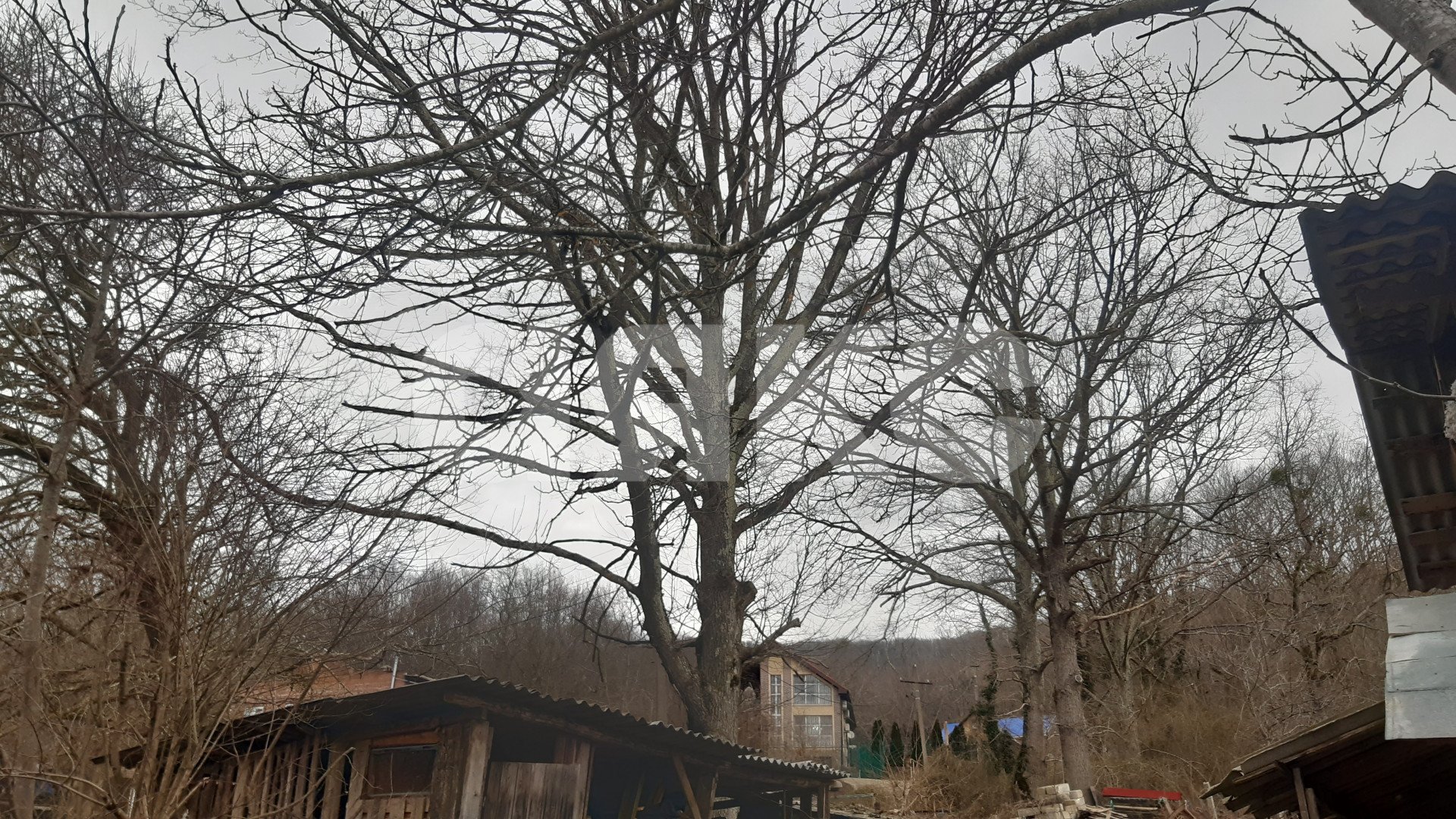 Фото №8: Земельный участок под ИЖС 5 сот. - Безымянное