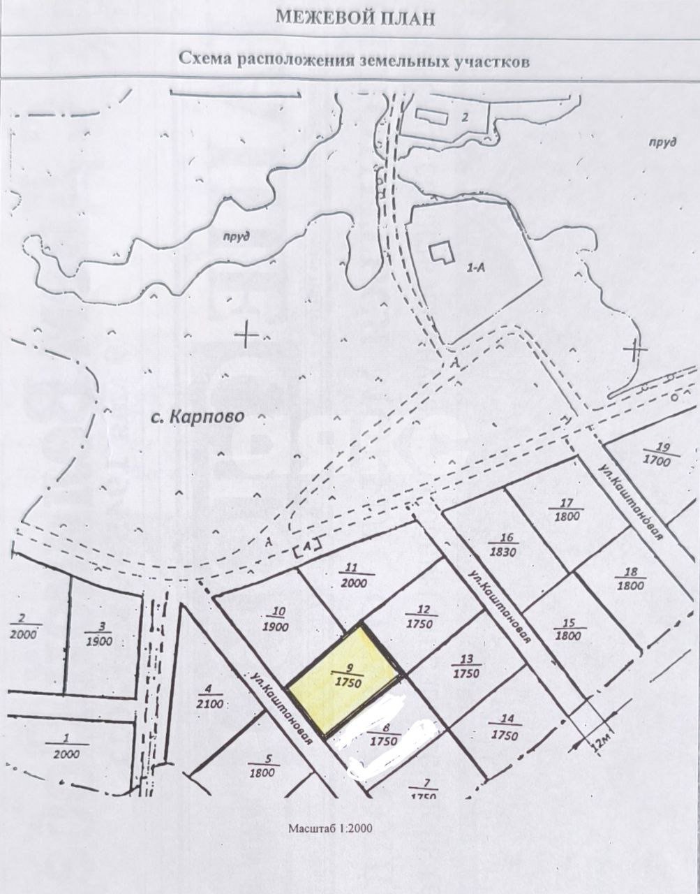 Фото №2: Личное подсобное хозяйство 17.5 сот. - Карпово, ул. Каштановая