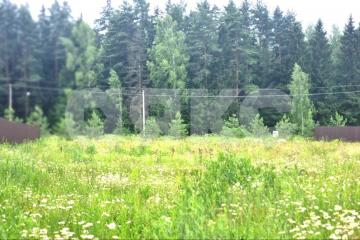 Фото №3: Земельный участок под ИЖС - Семёновское, 