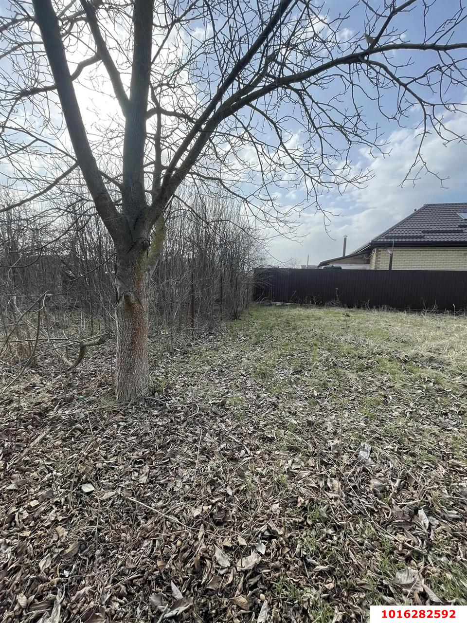 Фото №5: Личное подсобное хозяйство - СНТ Хуторок-2, мкр. Прикубанский внутригородской округ