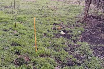 Фото №5: Земельный участок под ИЖС - Львовское, ул. Пионерская