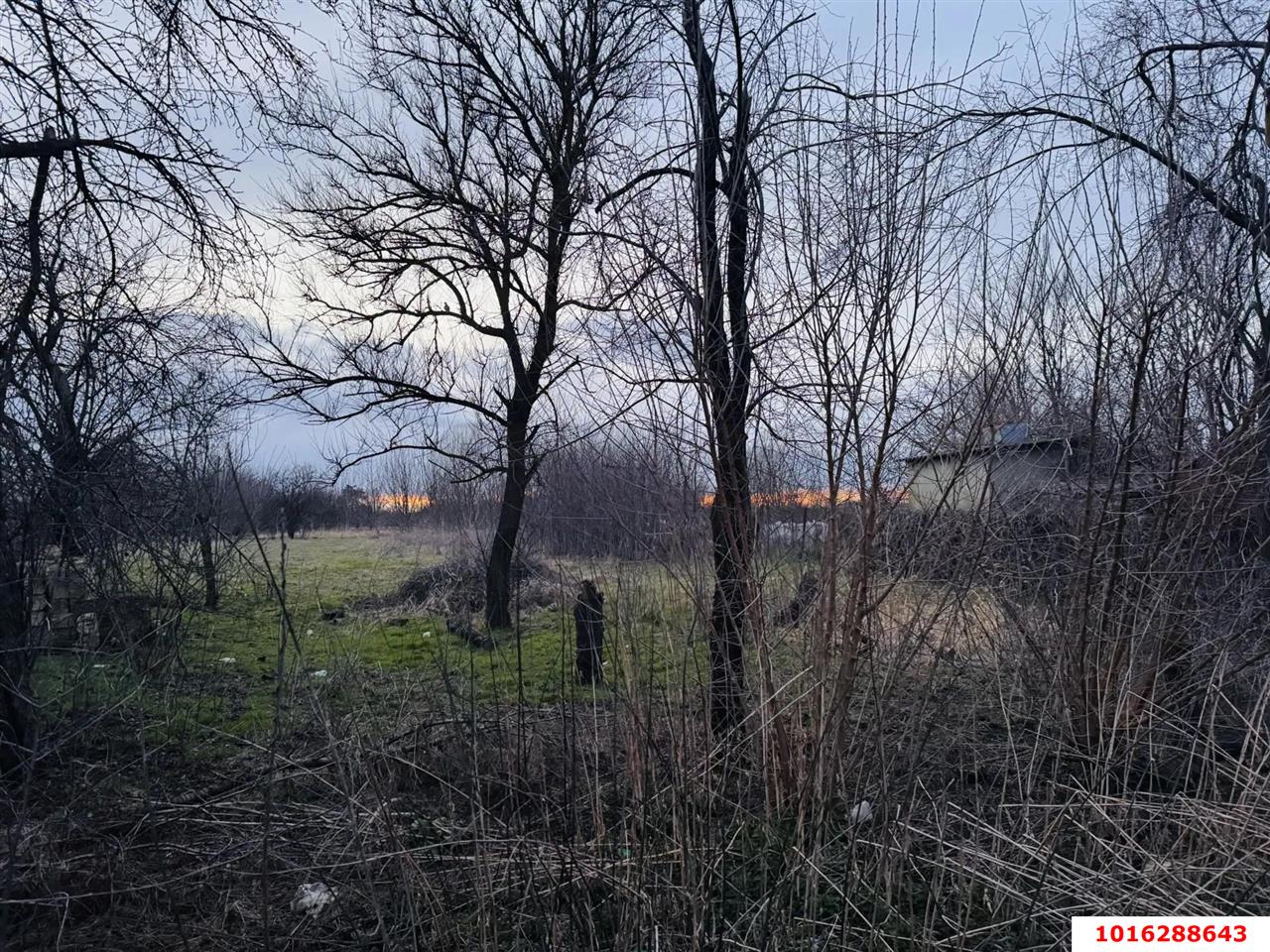 Фото №4: Земельный участок под ИЖС - Львовское, ул. Пионерская