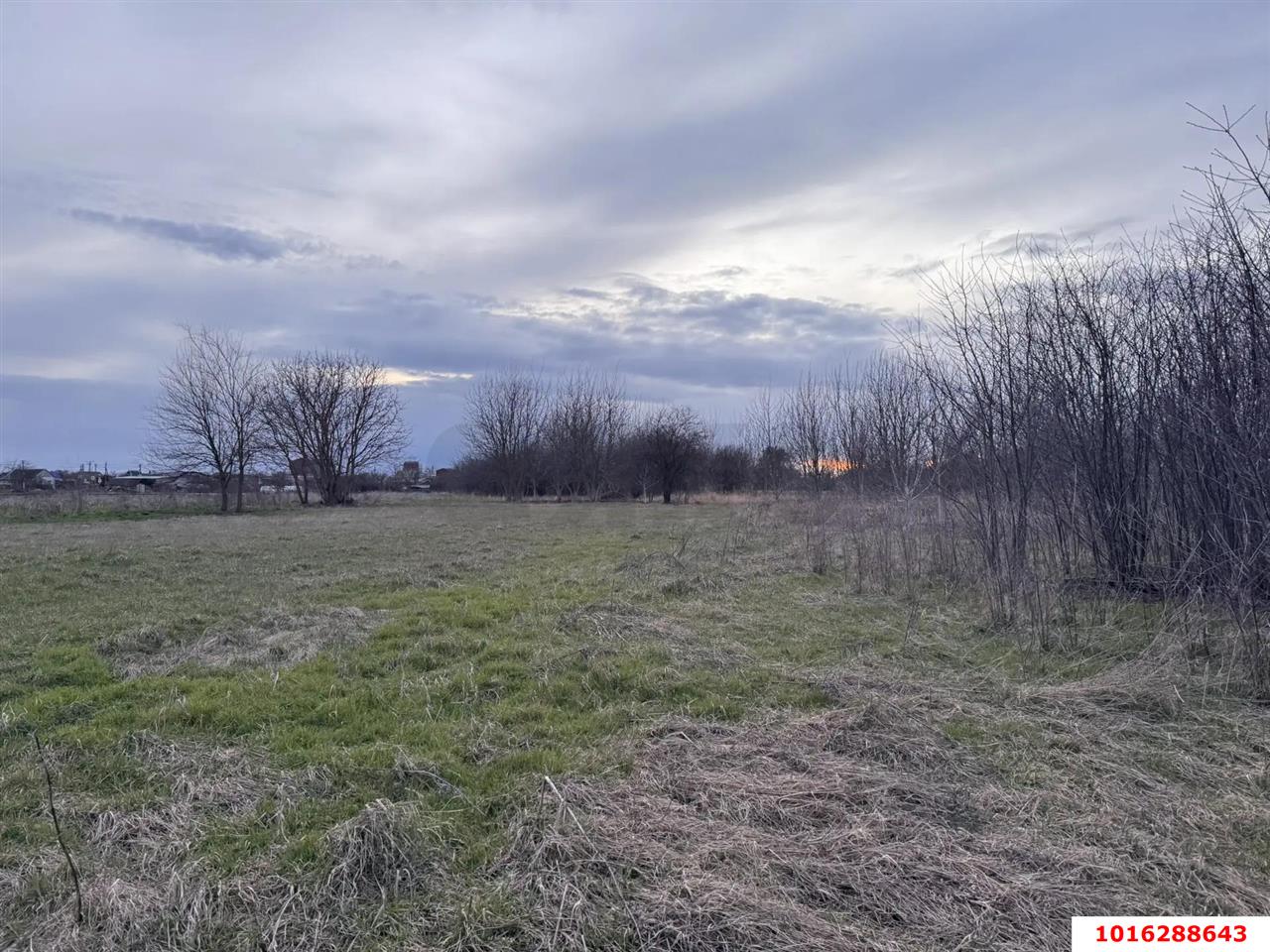 Фото №3: Земельный участок под ИЖС - Львовское, ул. Пионерская