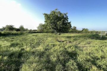 Фото №1: Земельный участок 6.6 сот. - Львовское, 