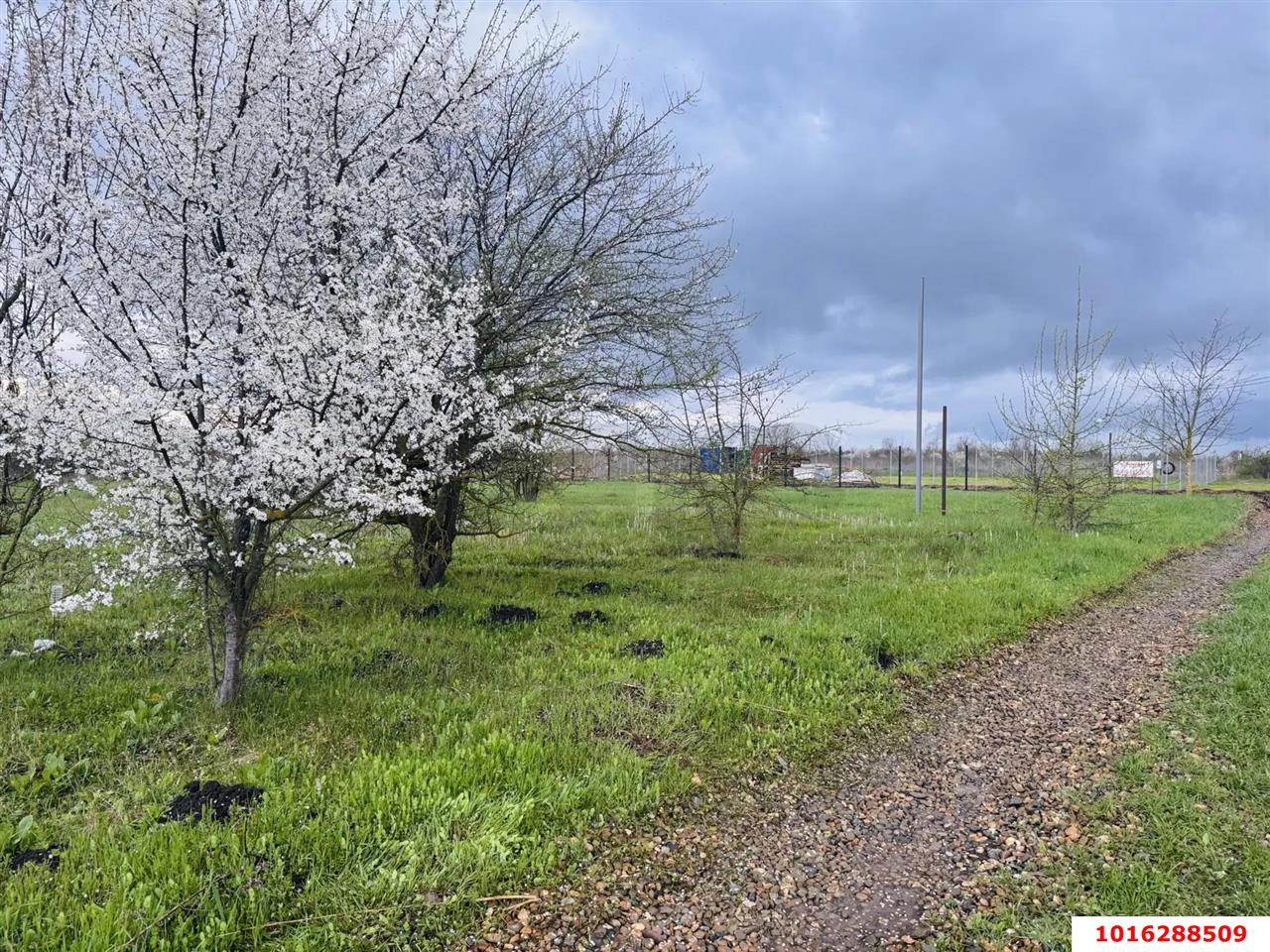 Фото №8: Земельный участок под ИЖС - Львовское