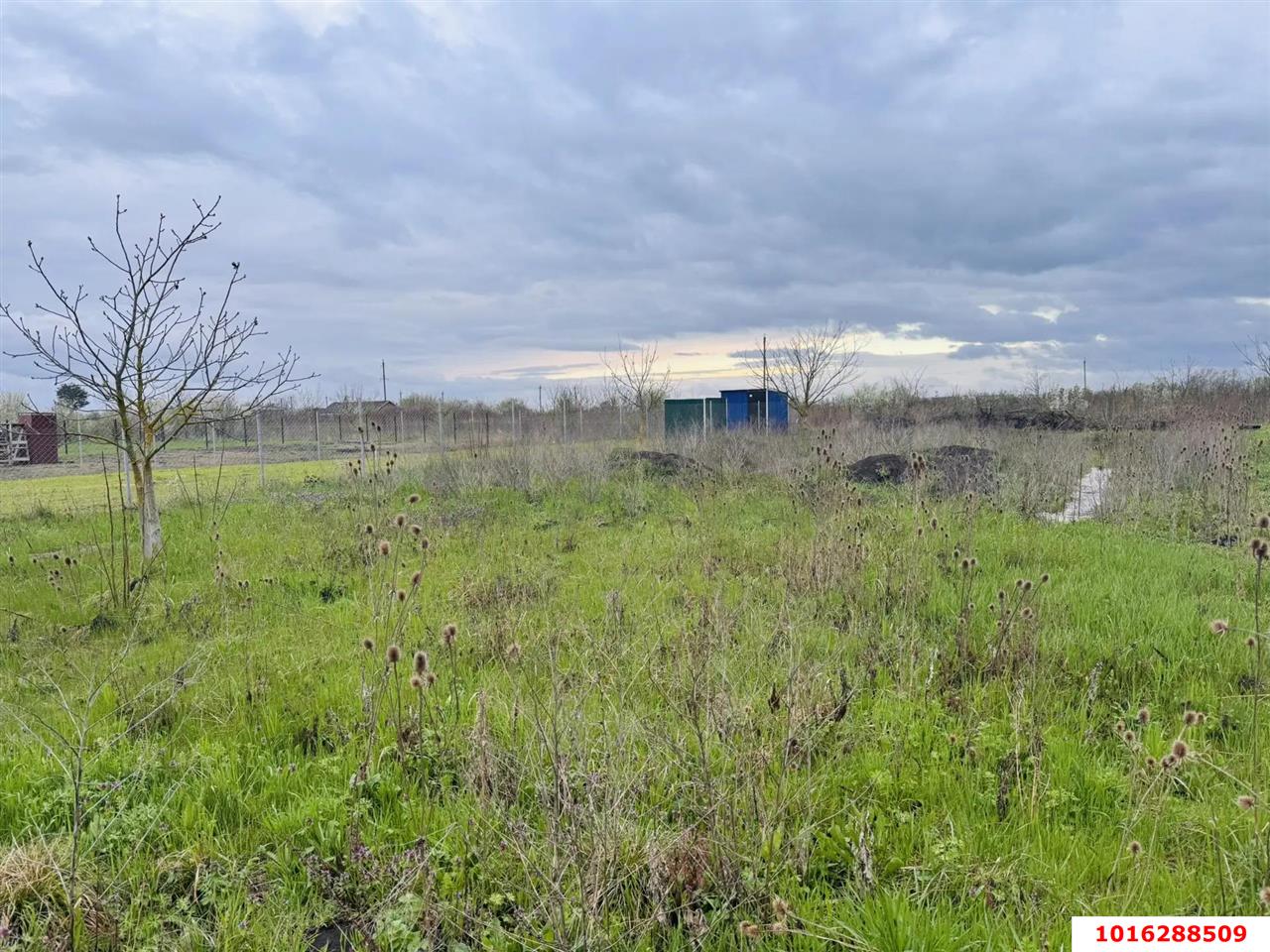 Фото №2: Земельный участок под ИЖС - Львовское