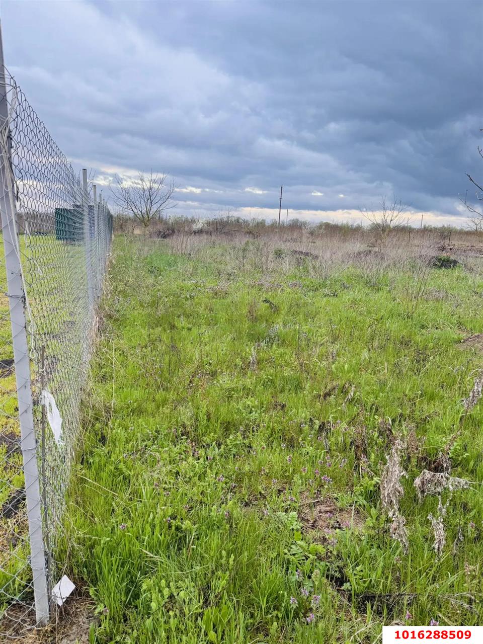 Фото №3: Земельный участок под ИЖС - Львовское