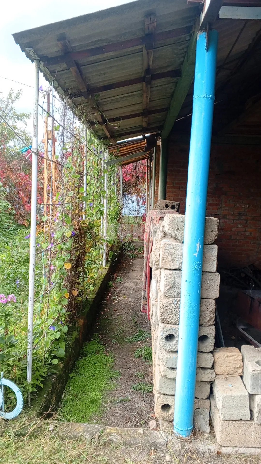 Фото №6: Часть дома 83 м² + 12 сот. - Новокарский