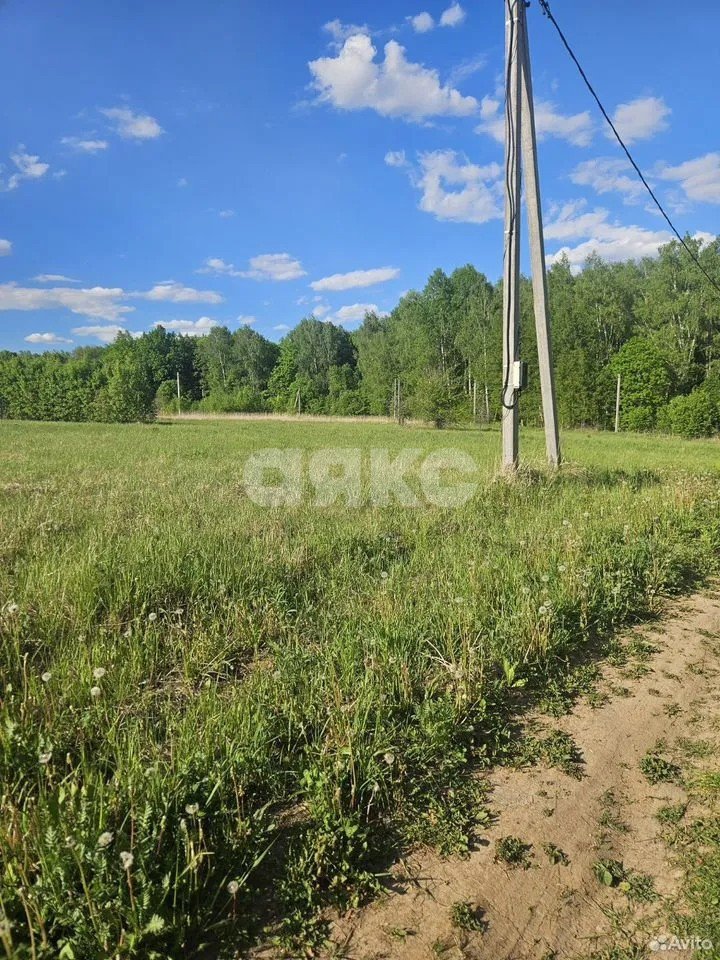 Фото №2: Участок садоводство 10 сот. - СНТ Берёзовая Роща, мкр. Привокзальный территориальный округ, 380