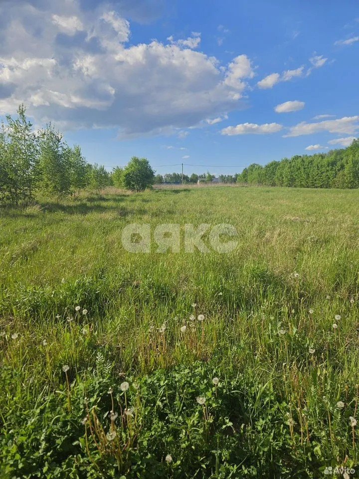 Фото №1: Участок садоводство 10 сот. - СНТ Берёзовая Роща, мкр. Привокзальный территориальный округ, 380