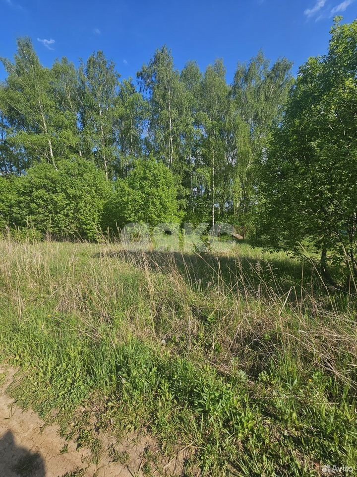 Фото №3: Участок садоводство 10 сот. - СНТ Берёзовая Роща, мкр. Привокзальный территориальный округ, 380