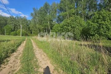 Фото №4: Участок садоводство - СНТ Берёзовая Роща, мкр. Привокзальный территориальный округ, 380