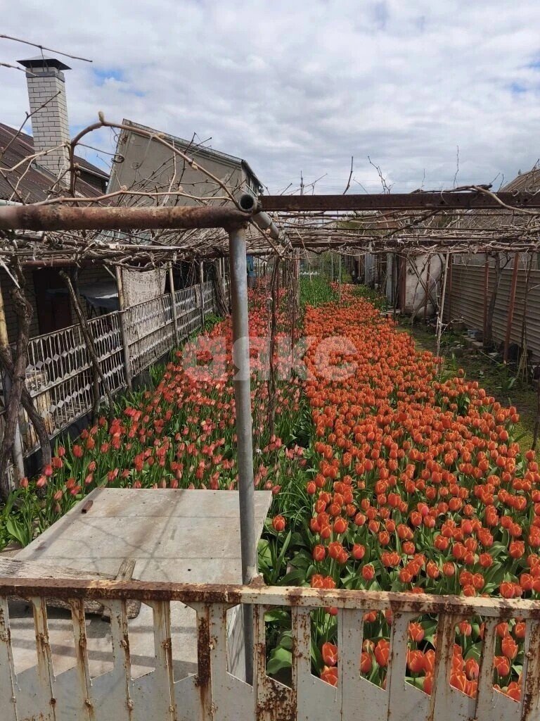 Фото №5: Дом 98 м² + 5.67 сот. - Мариуполь, Приморский, п. Моряков, ул. Меламеда, 76