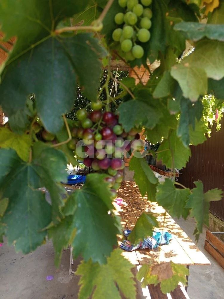 Фото №22: Дом 240 м² + 5 сот. - Супсех