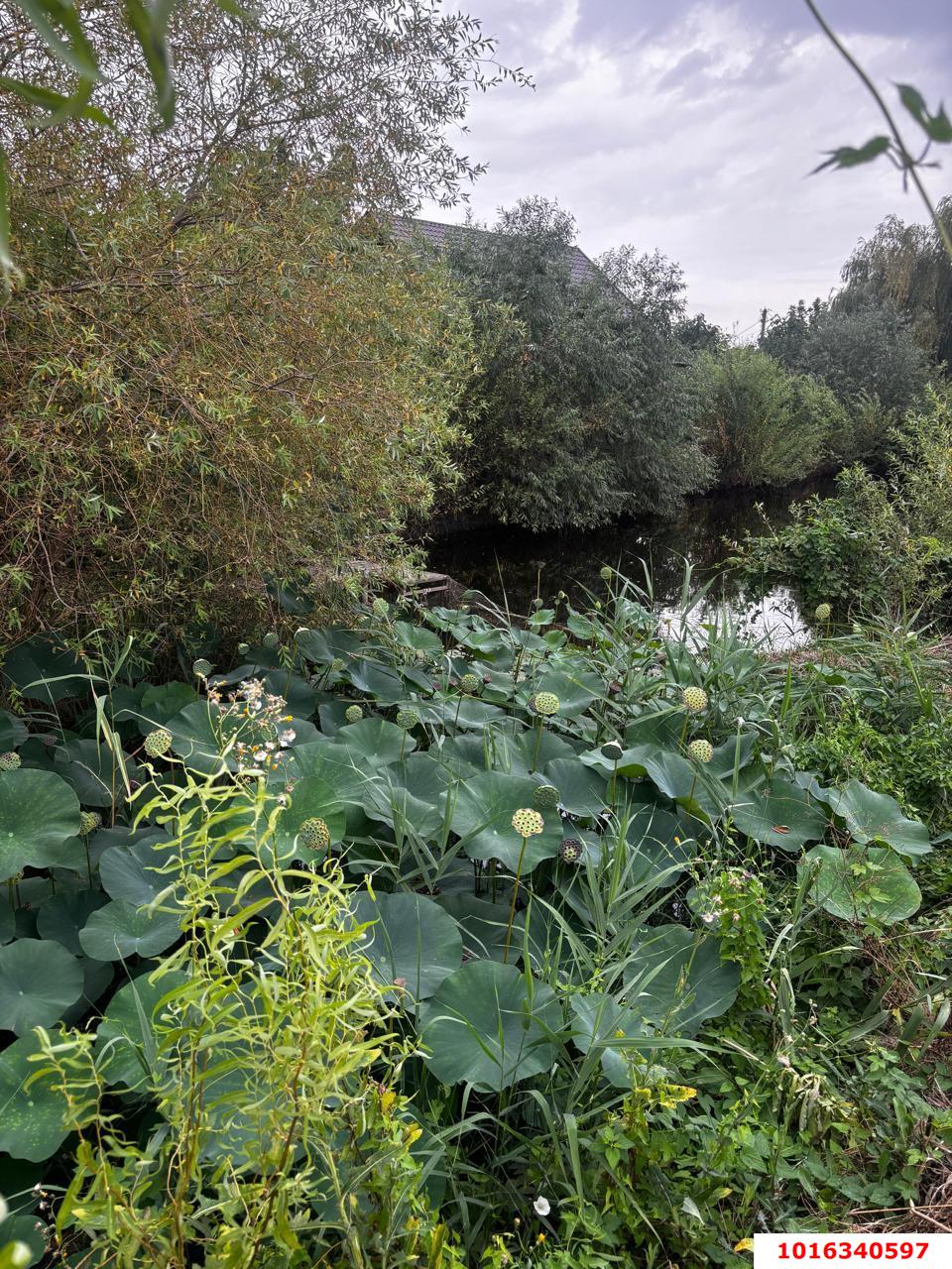 Фото №9: Дом 75 м² + 27 сот. - Большевик, ул. Лазурная, 45Г